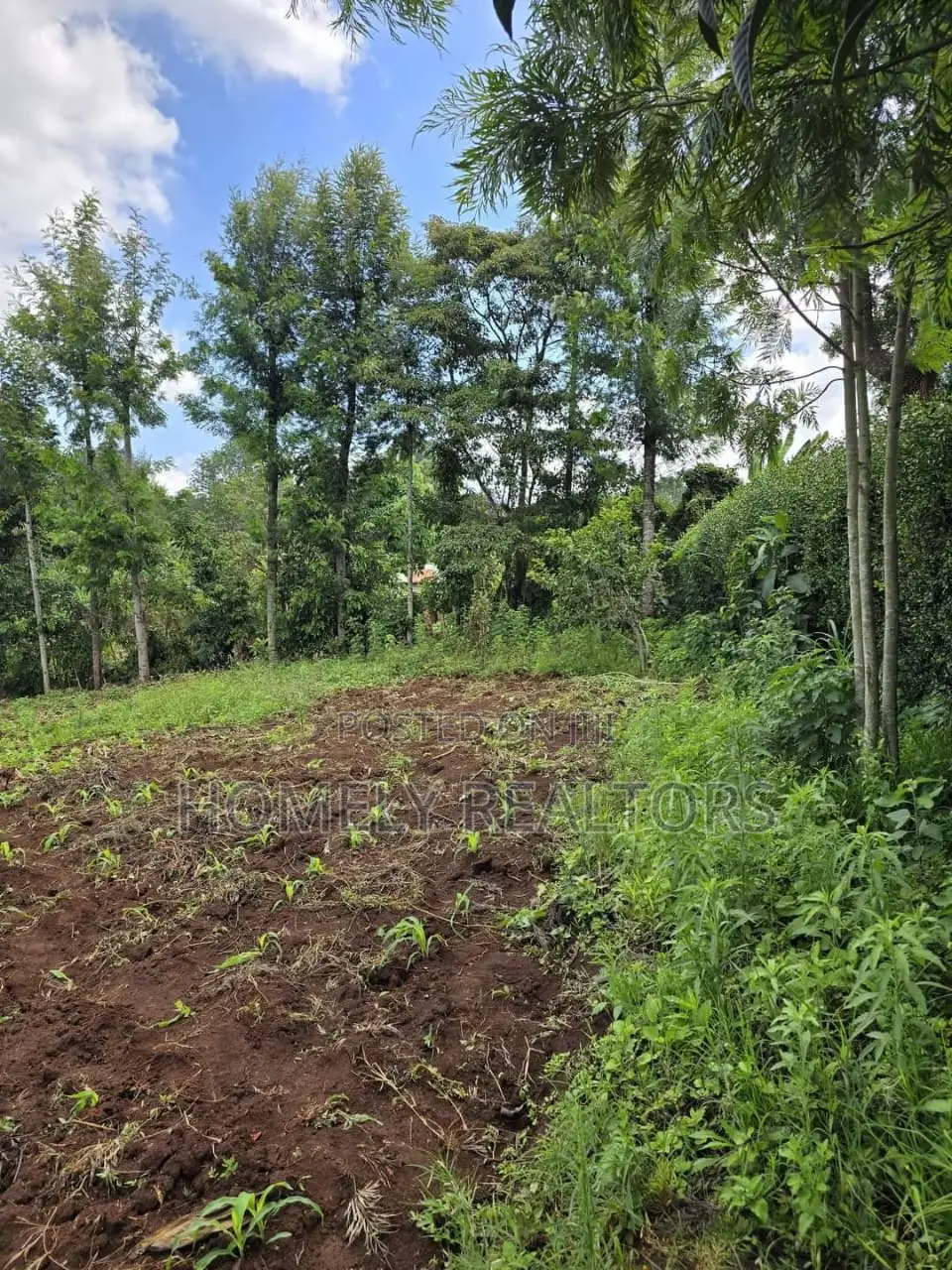 Residential Quarter Acre Plot in Kahara Rd, Ngong. Red Soil in Ngong