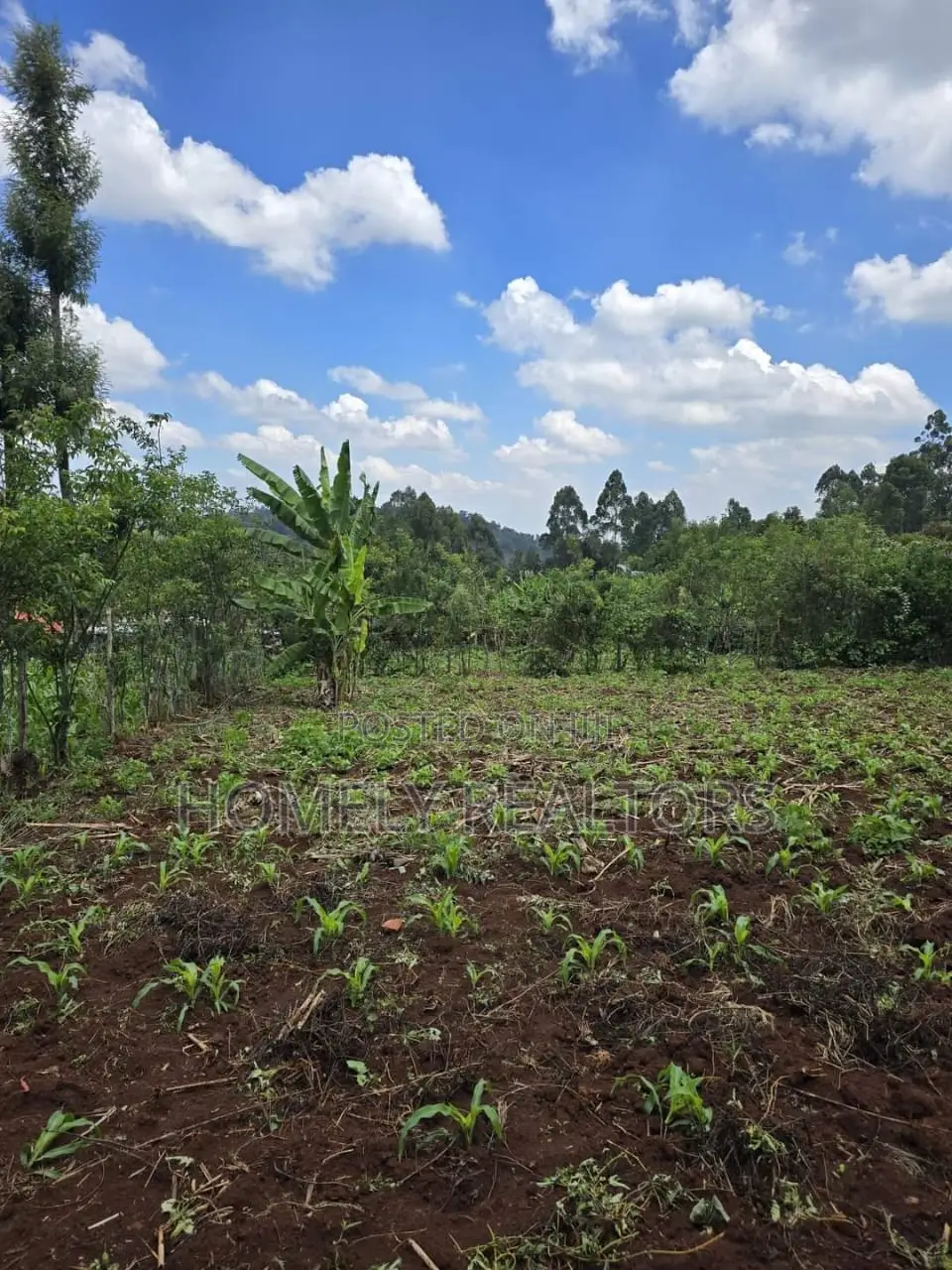 Residential Quarter Acre Plot in Kahara Rd, Ngong. Red Soil in Ngong