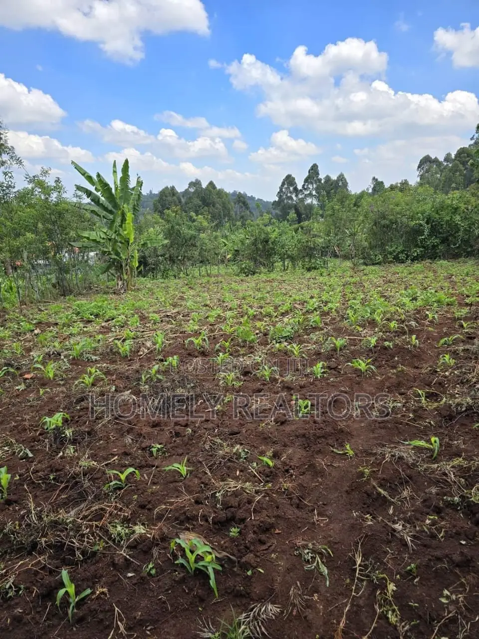 Residential Quarter Acre Plot in Kahara Rd, Ngong. Red Soil in Ngong