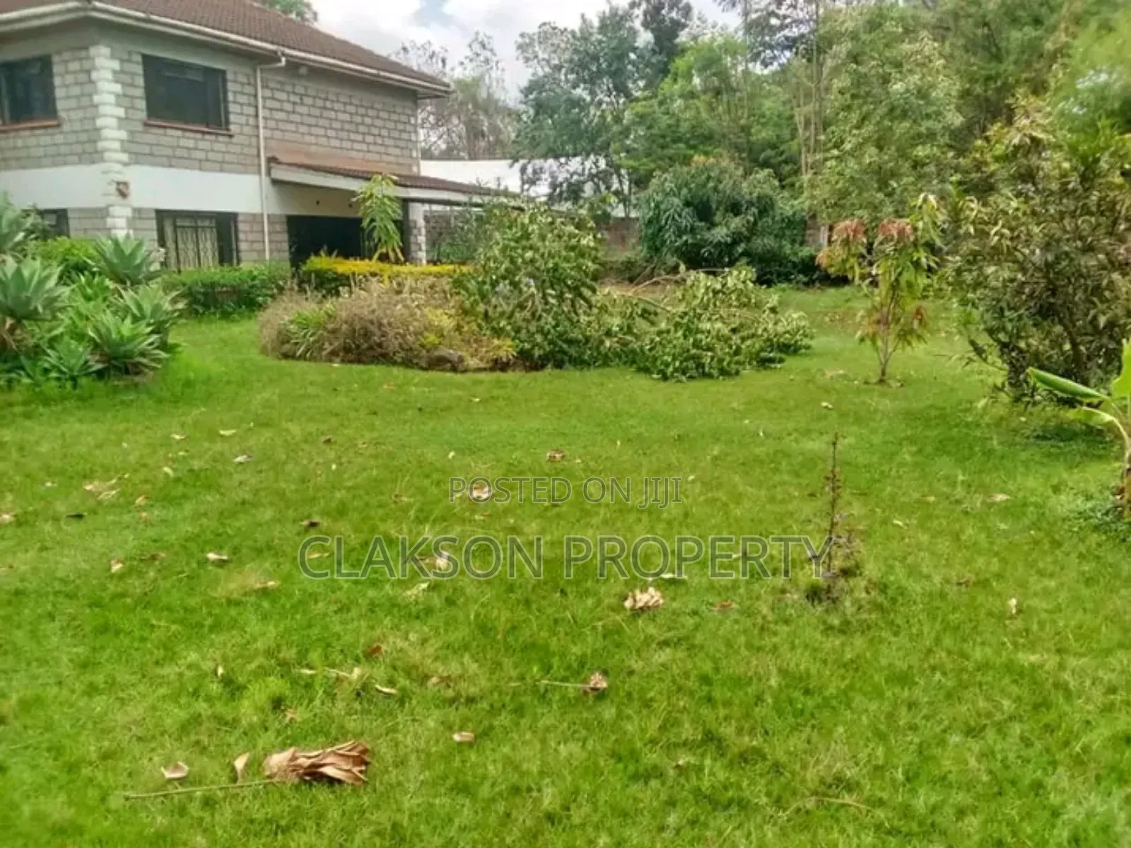Commercial Office to Let in Lavington
