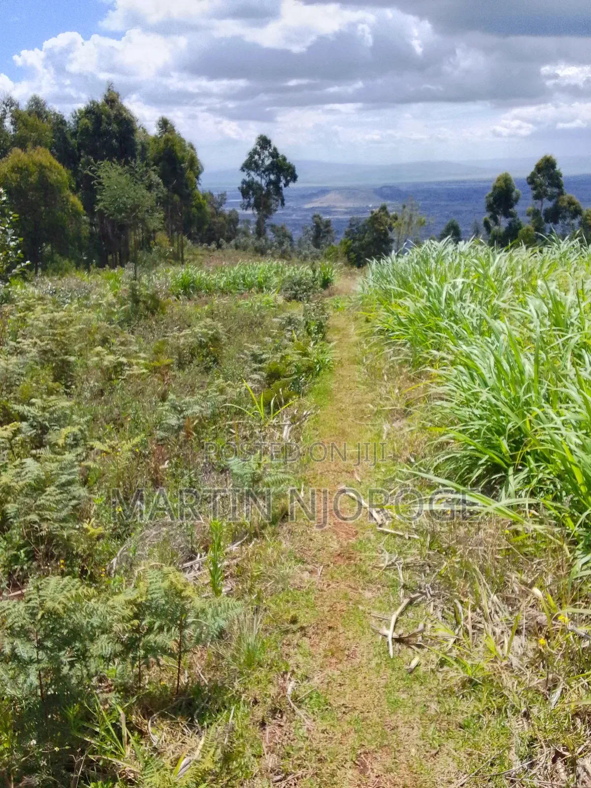 1.7 Acres Kijabe, Lari in Kijabe