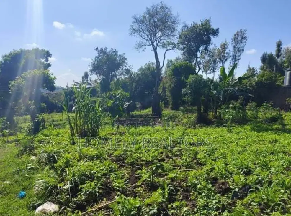 One Acre Land for Sale in Ngong Vet Near Tarmac in Ngong