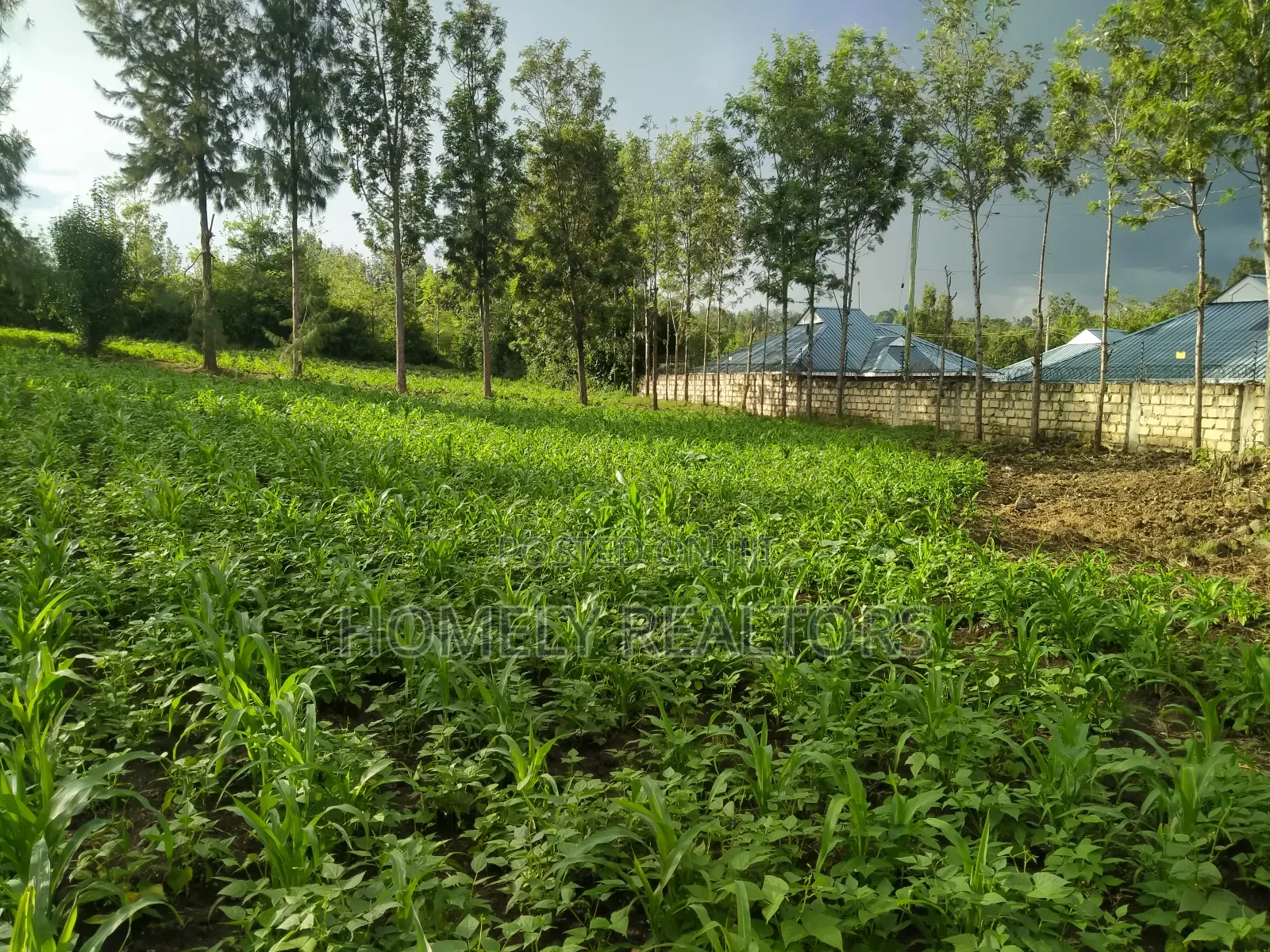 One Acre Piece of Land in Ongata Rongai Along Merisho Area in Ongata Rongai