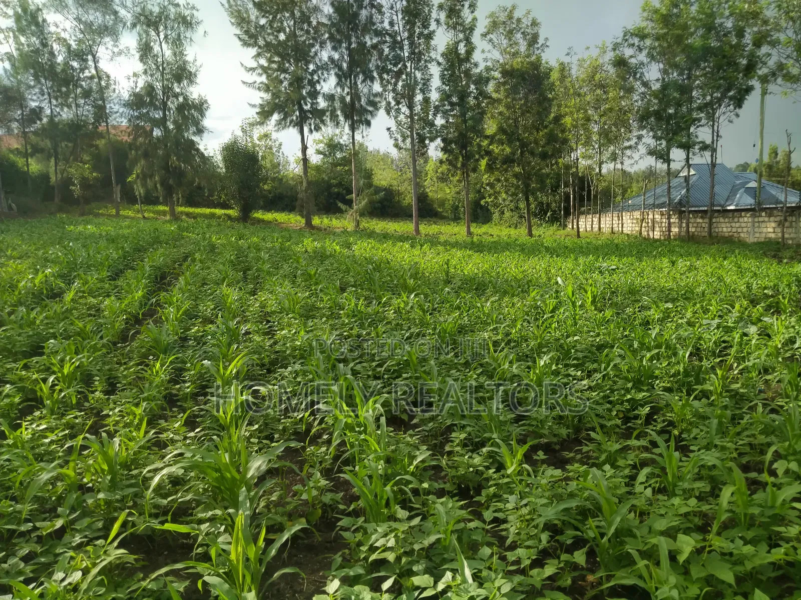 One Acre Piece of Land in Ongata Rongai Along Merisho Area in Ongata Rongai