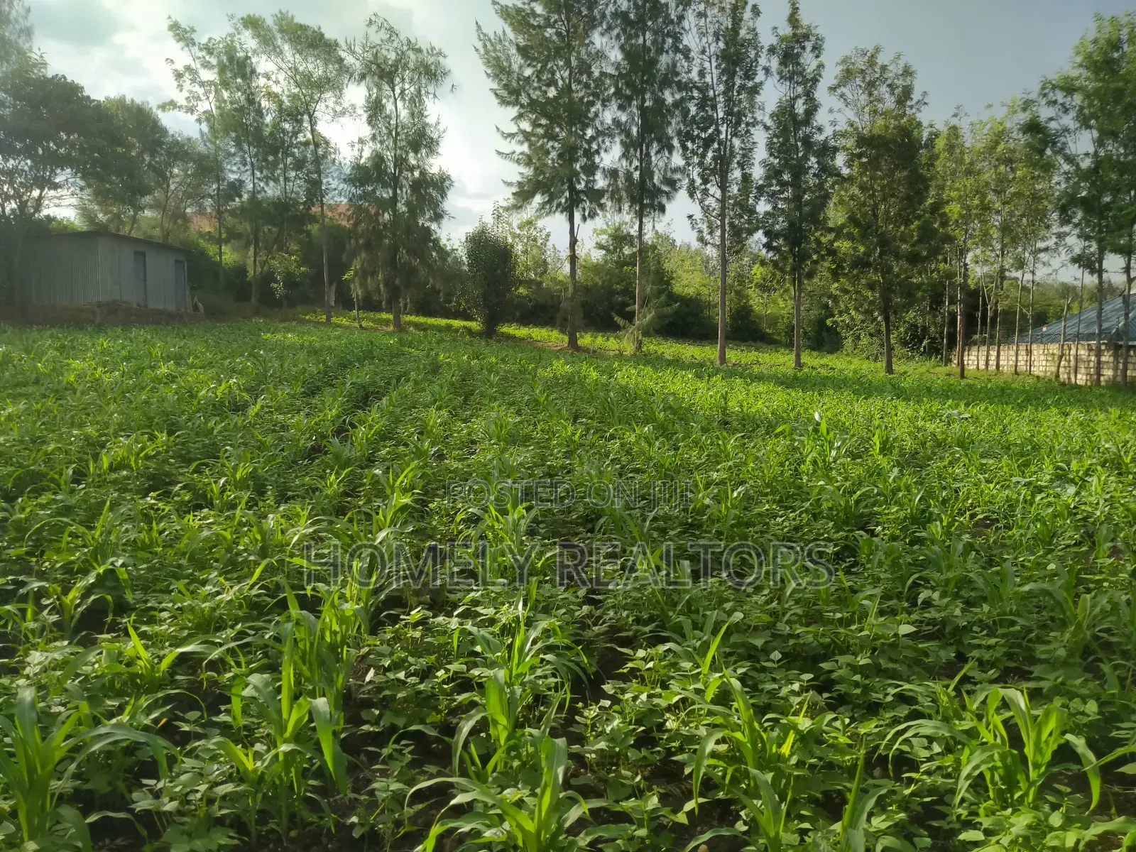 One Acre Piece of Land in Ongata Rongai Along Merisho Area in Ongata Rongai