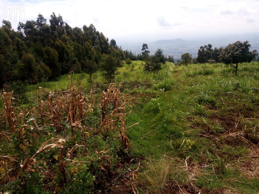 Spacious 4-Acre Land in Langa Langa Gilgil Available for Sale in Langa Langa