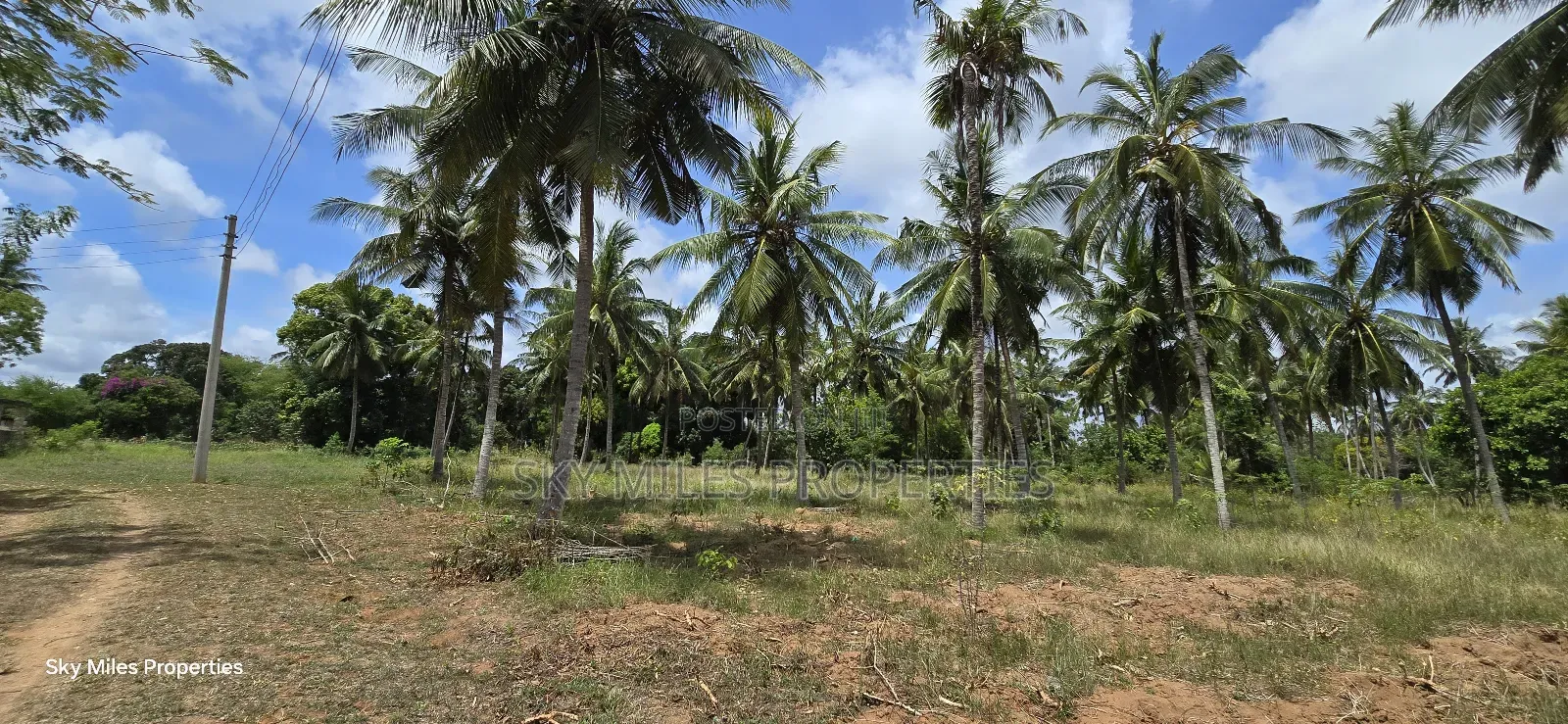 6-Acre Prime Land for Sale in Bomani (Kikambala) in Kikambala