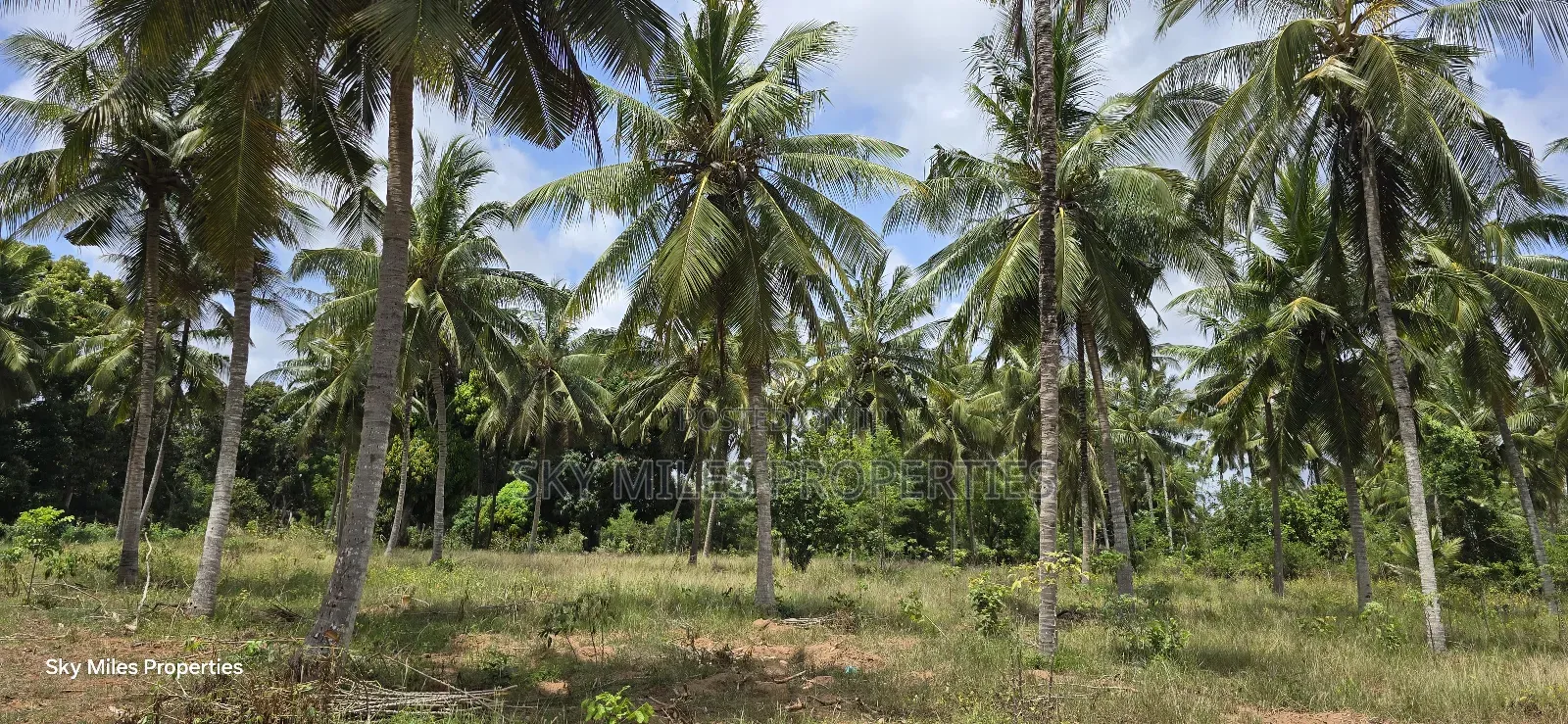 6-Acre Prime Land for Sale in Bomani (Kikambala) in Kikambala