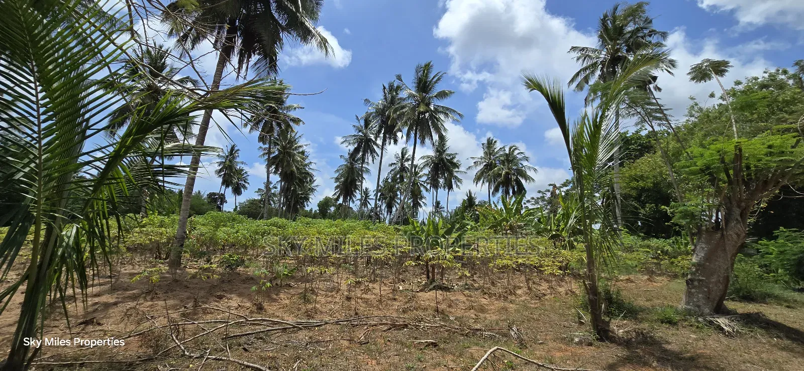 6-Acre Prime Land for Sale in Bomani (Kikambala) in Kikambala