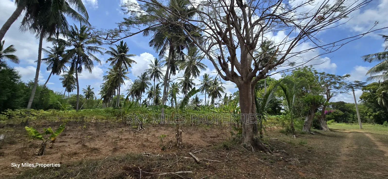 6-Acre Prime Land for Sale in Bomani (Kikambala) in Kikambala