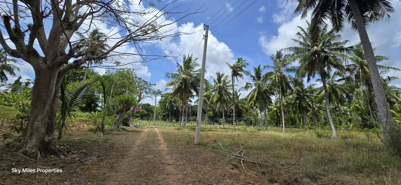 6-Acre Prime Land for Sale in Bomani (Kikambala) in Kikambala
