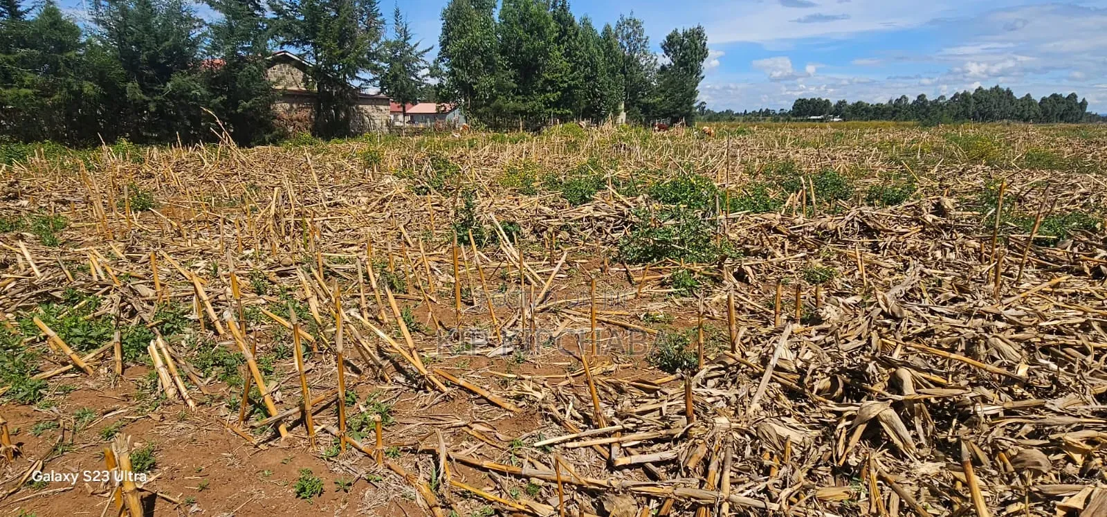 1⁄4 Plots for Sale Limo Hillside Eldoret in Hillside