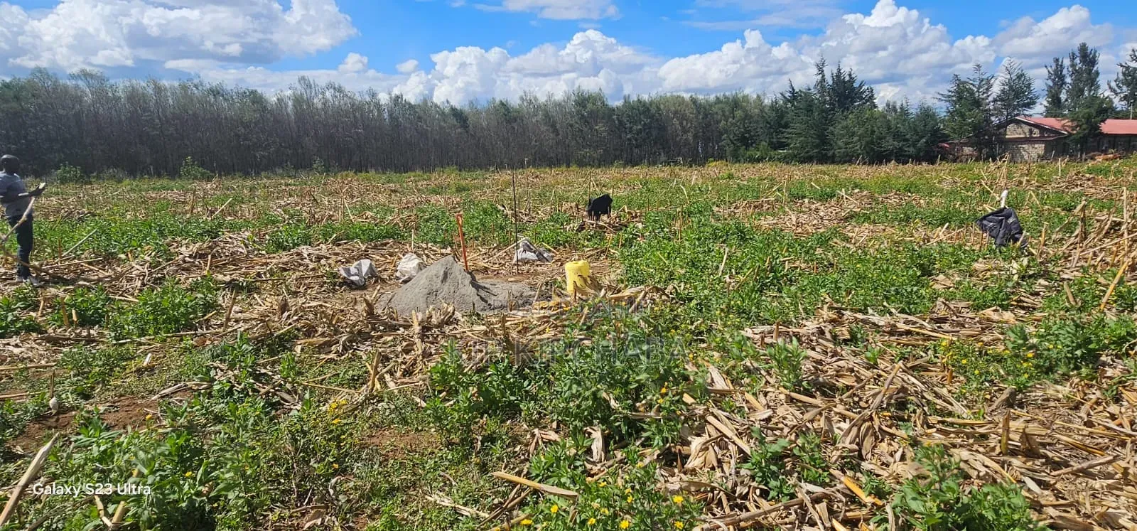 1⁄4 Plots for Sale Limo Hillside Eldoret in Hillside