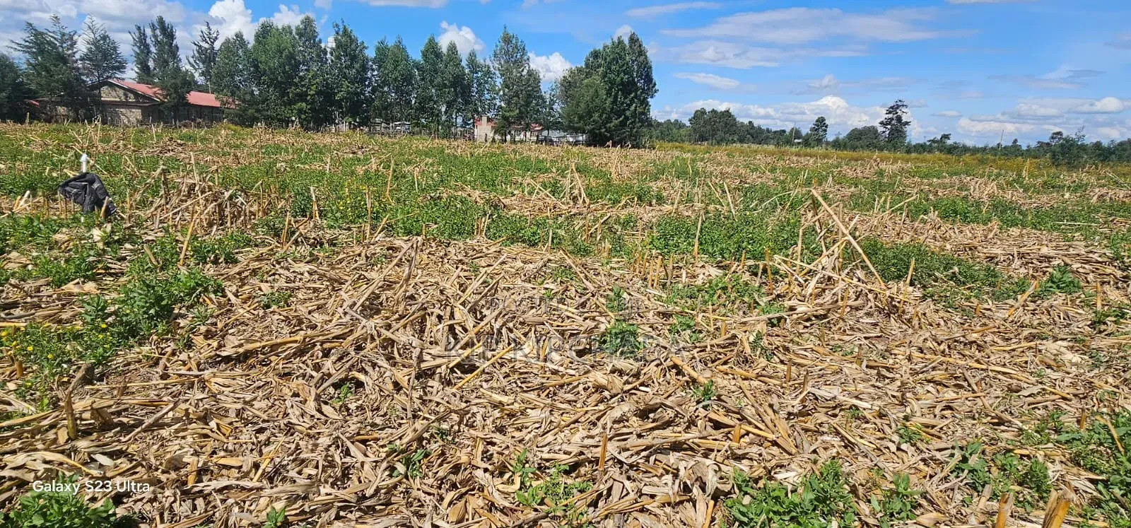 1⁄4 Plots for Sale Limo Hillside Eldoret in Hillside
