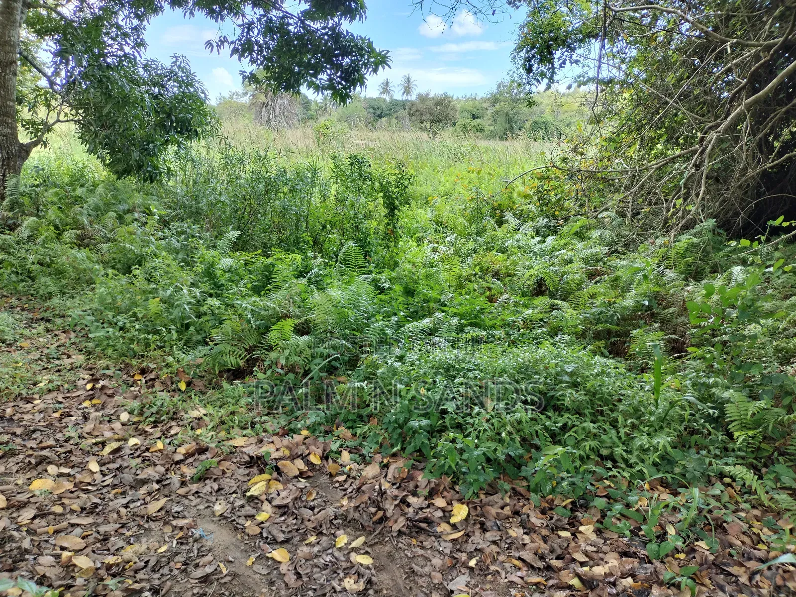 36 Acre Farmland on Sale in Mabokoni! in Kubo South