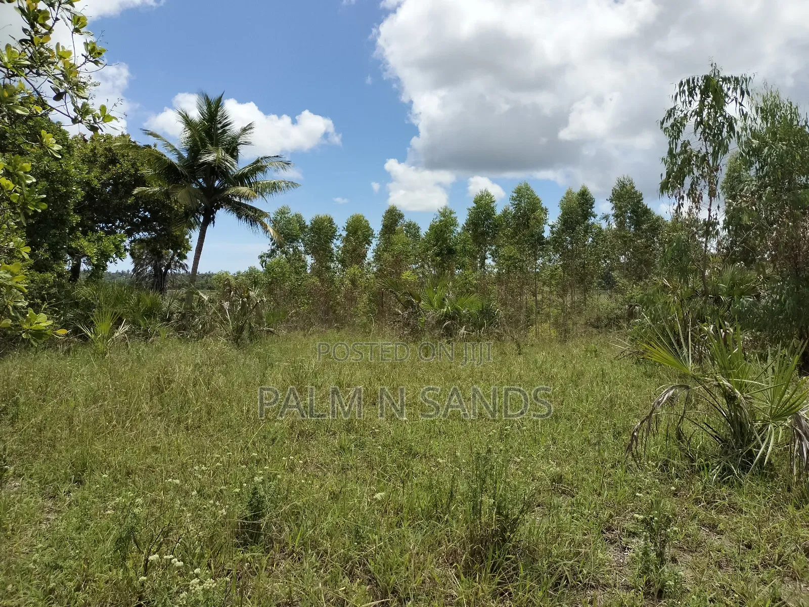 36 Acre Farmland on Sale in Mabokoni! in Kubo South