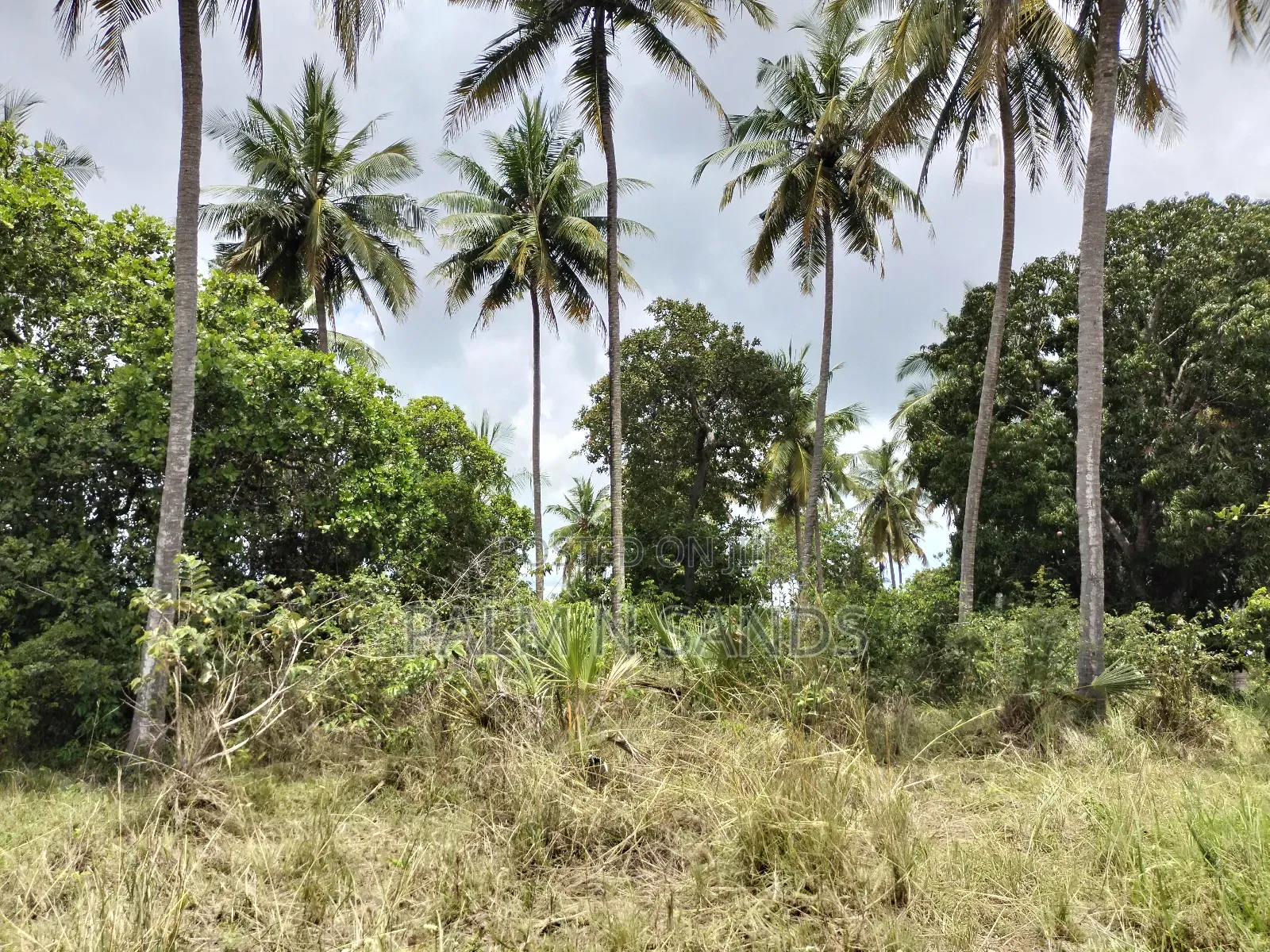 36 Acre Farmland on Sale in Mabokoni! in Kubo South