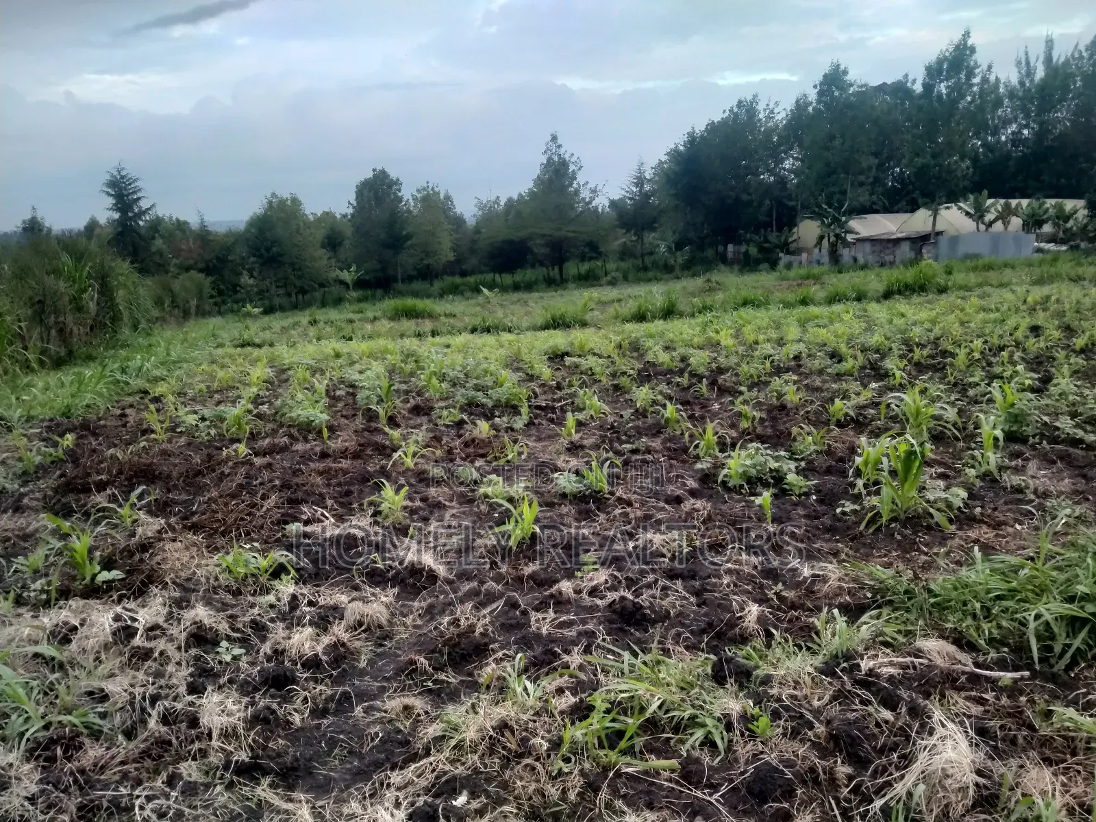 One Acre Piece of Land in Ngong Matasia, Merisho Road Tarmac in Merisho