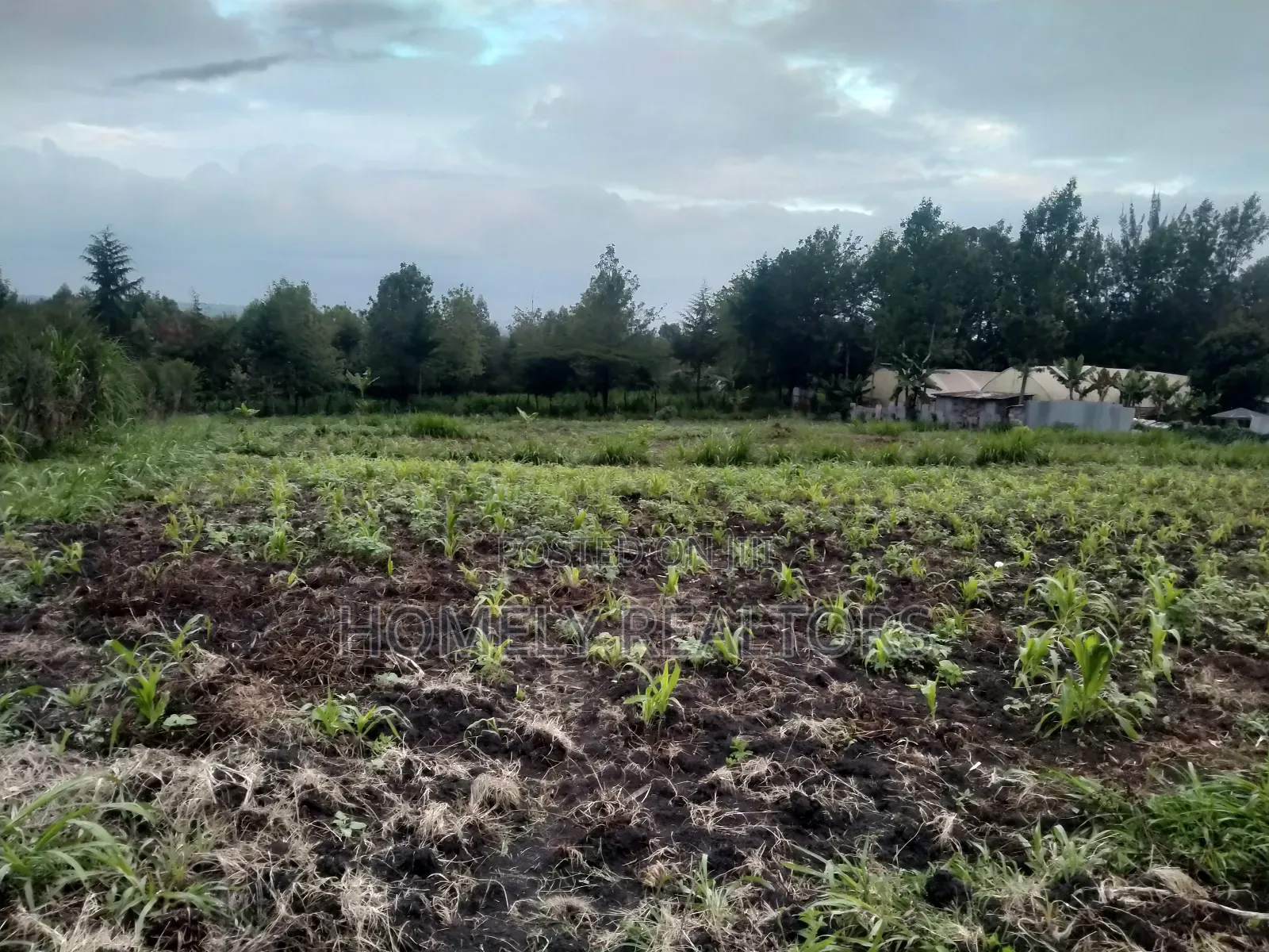 One Acre Piece of Land in Ngong Matasia, Merisho Road Tarmac in Merisho