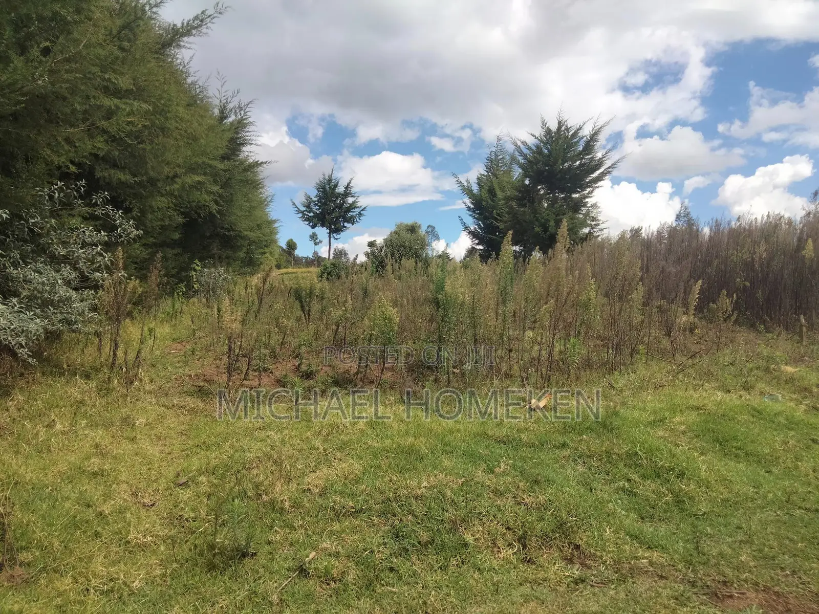 Quarter Acre for Sale in Nyandarua in Murungaru