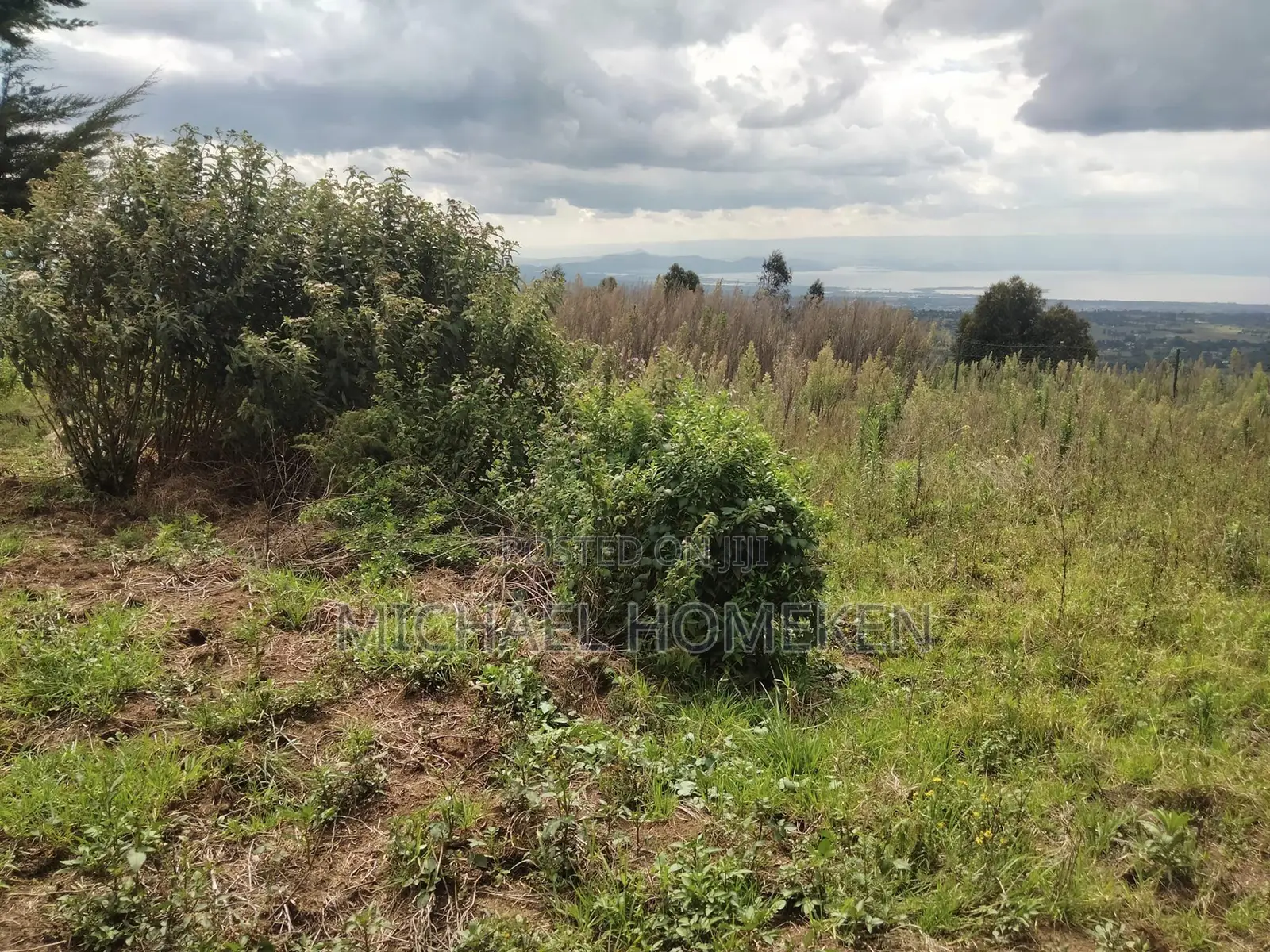 Quarter Acre for Sale in Nyandarua in Murungaru
