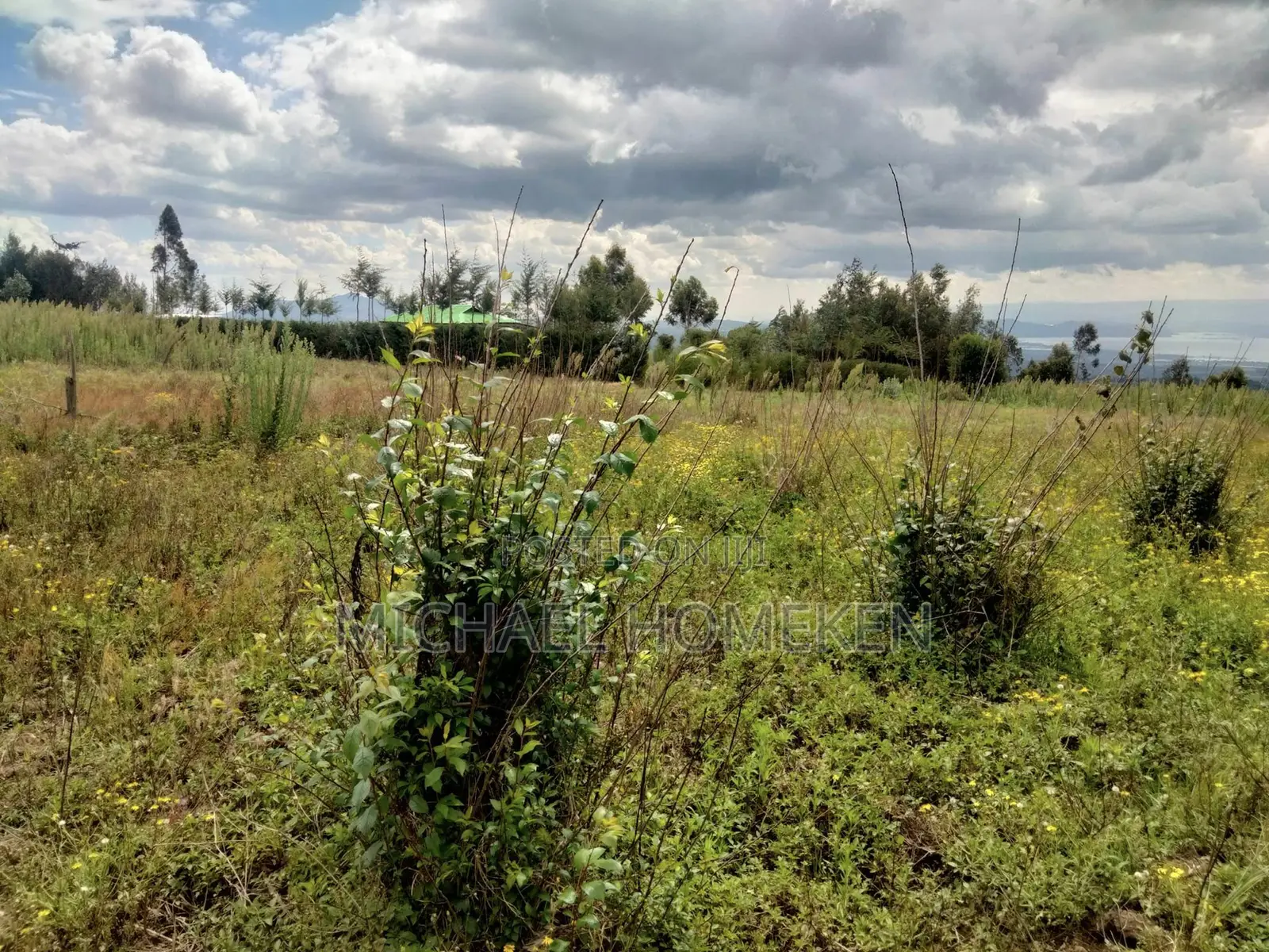 Quarter Acre for Sale in Nyandarua in Murungaru