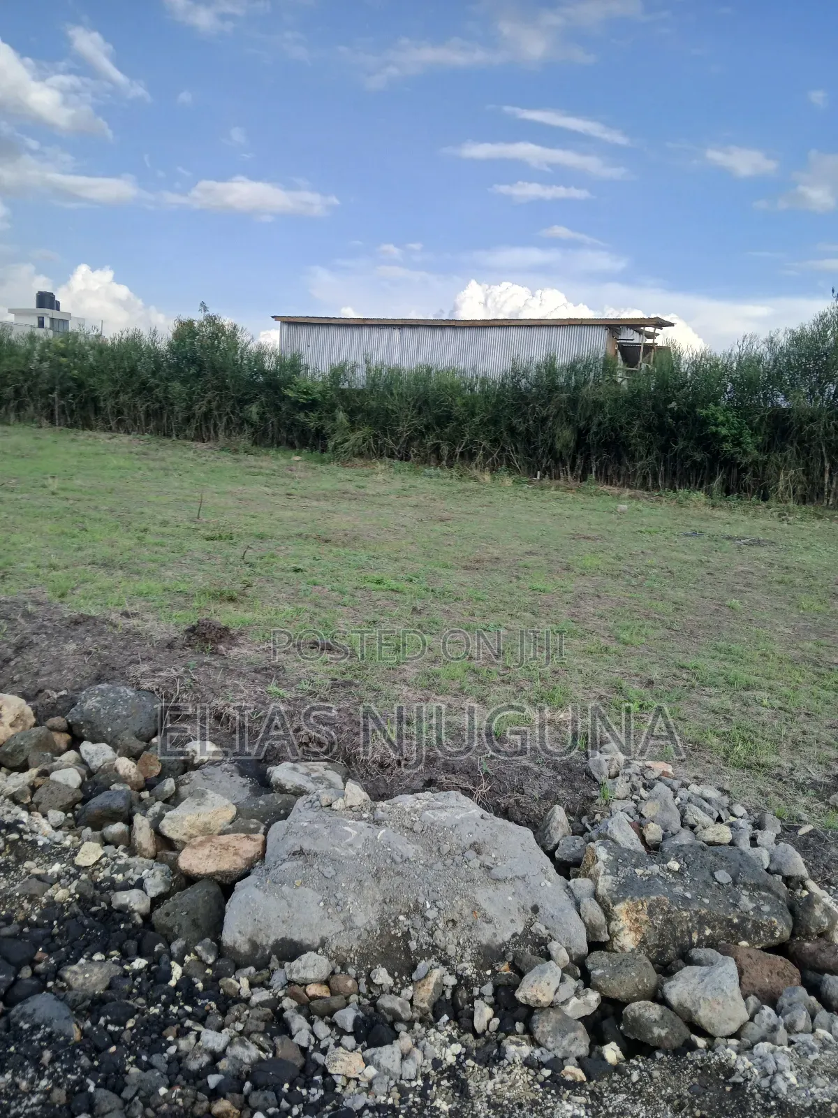 Kahawa Sukari C(Kamakis) 50"×80" Title at 4.6M Negotiable in Kamakis