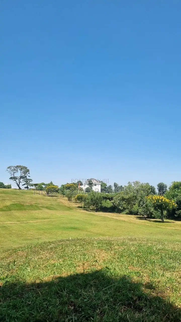1/2 Acre Plot in Kiambu / Kiambu 