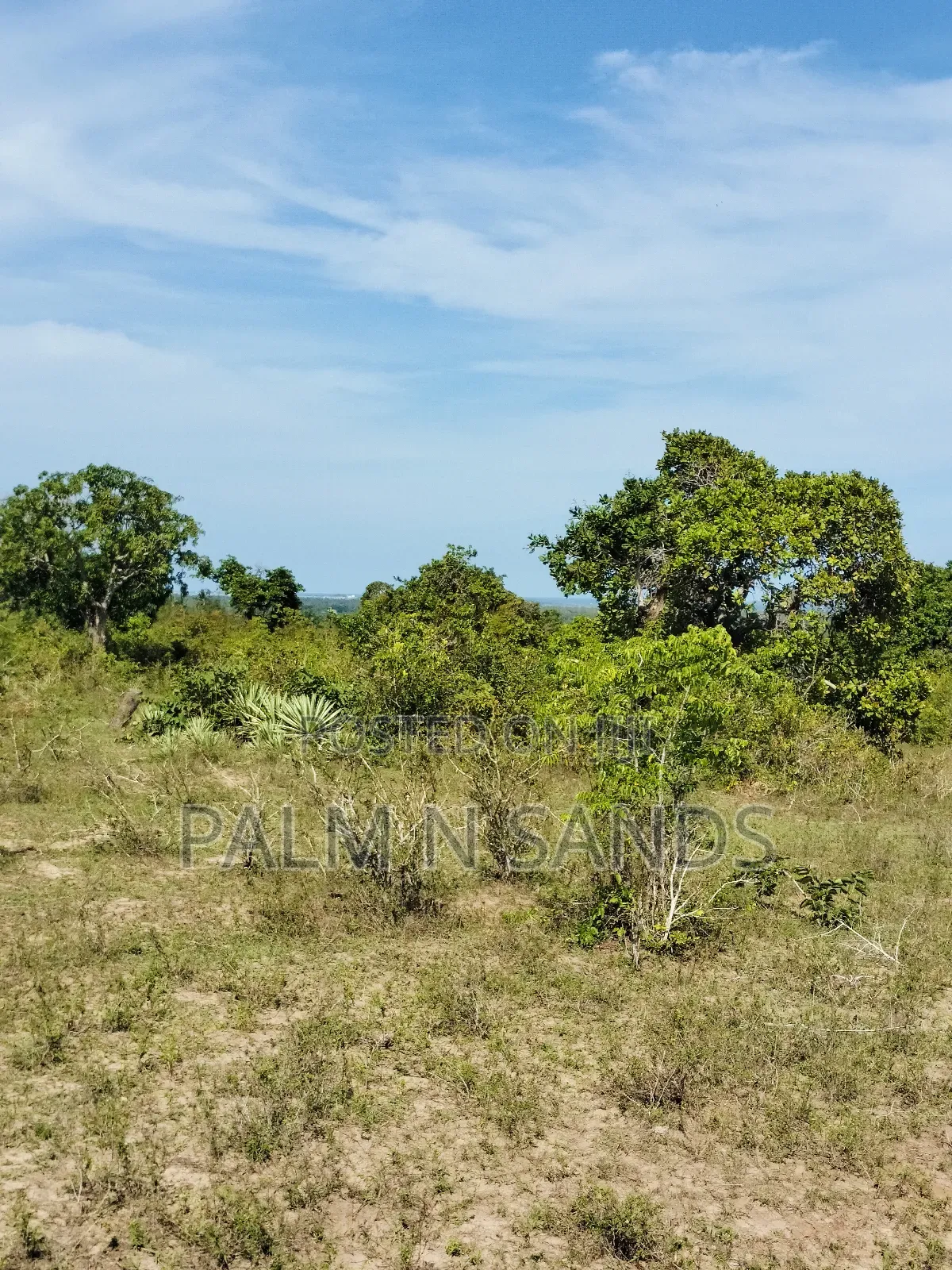 2.7 Acre Ocean View Land for Sale in Waa