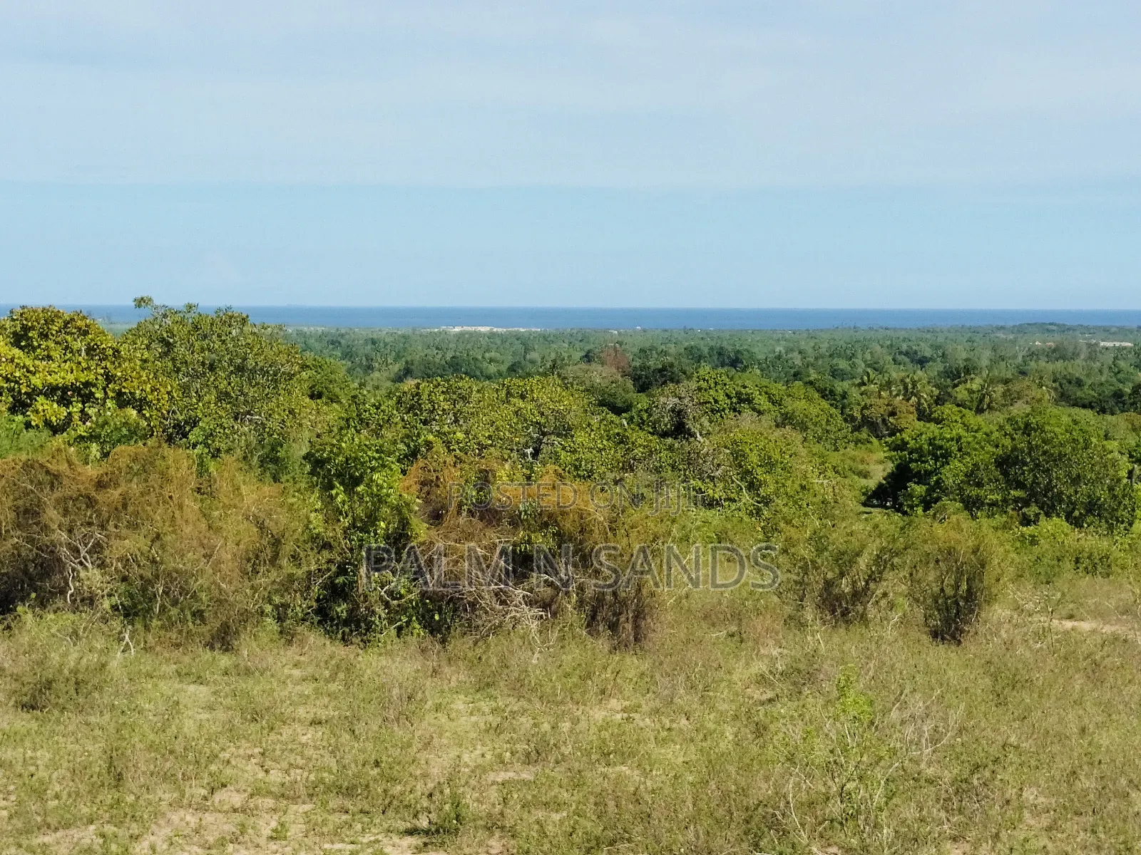 2.7 Acre Ocean View Land for Sale in Waa