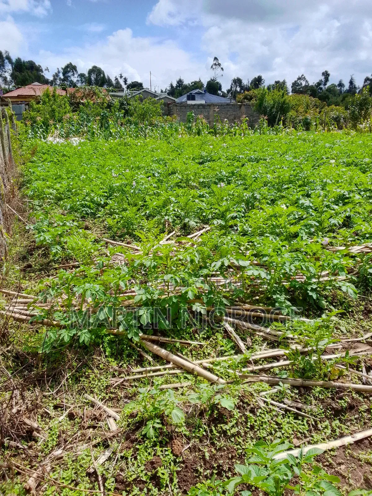 1 Acre Mwendandu in Magumu