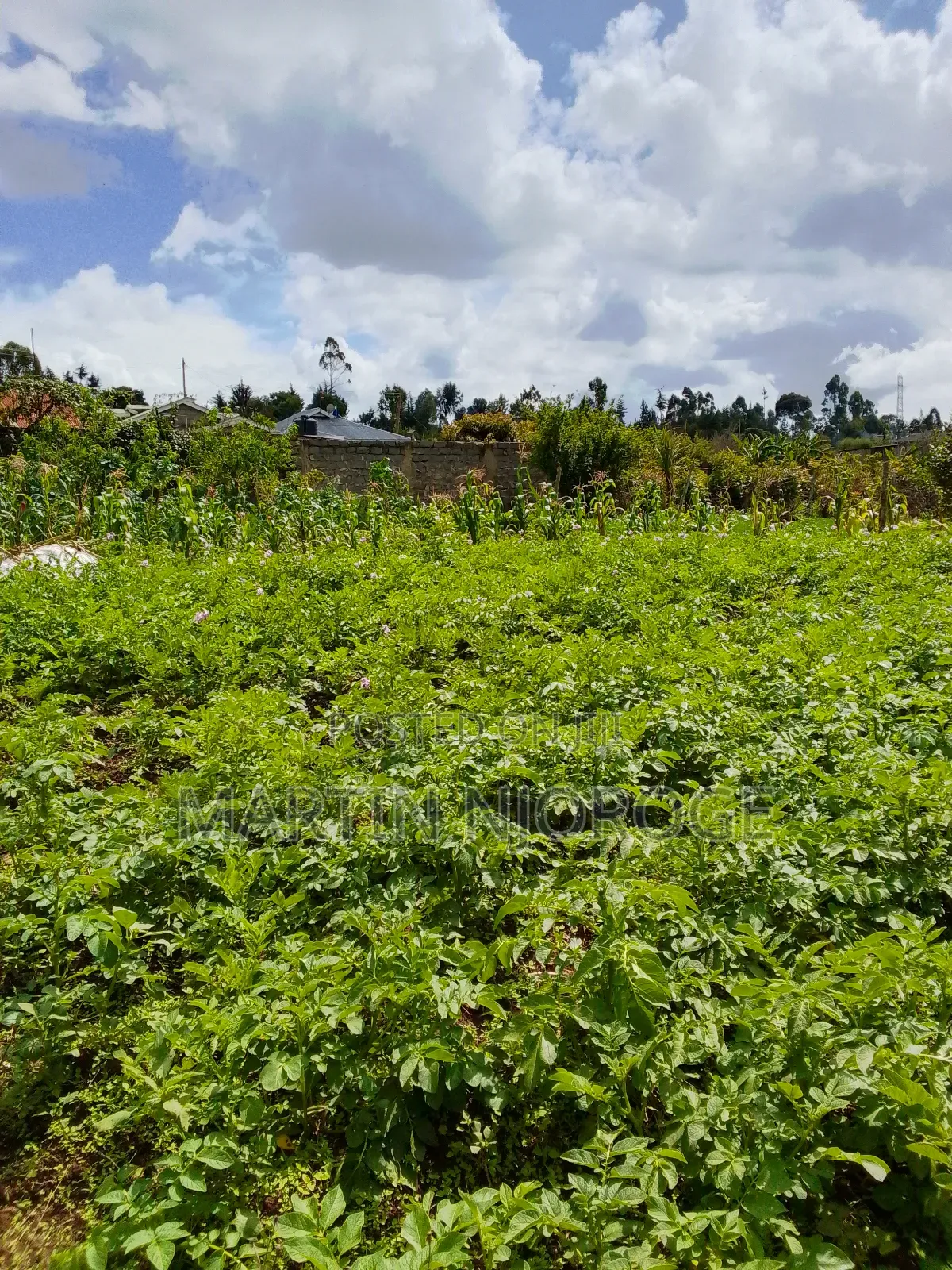 1 Acre Mwendandu in Magumu