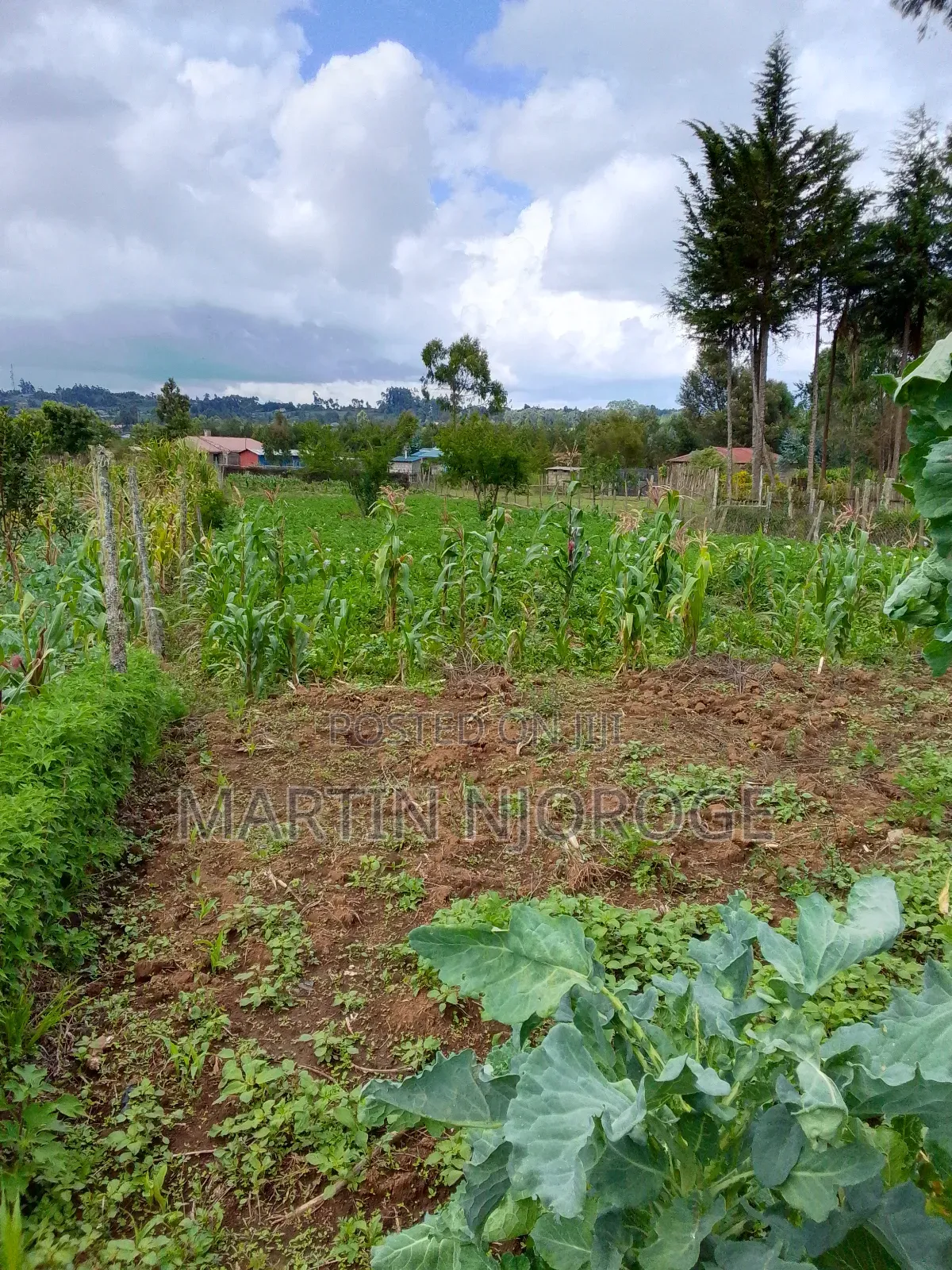 1 Acre Mwendandu in Magumu