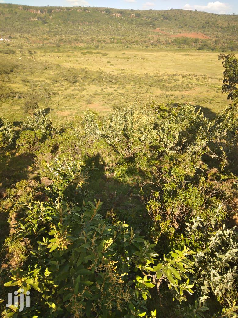 100 Acres of Ilkisumeti Land: Perfect for Development Close to Eremit in Mosiro