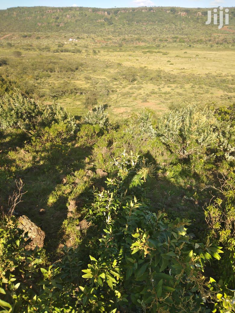 100 Acres of Ilkisumeti Land: Perfect for Development Close to Eremit in Mosiro