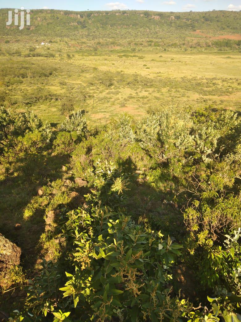 100 Acres of Ilkisumeti Land: Perfect for Development Close to Eremit in Mosiro