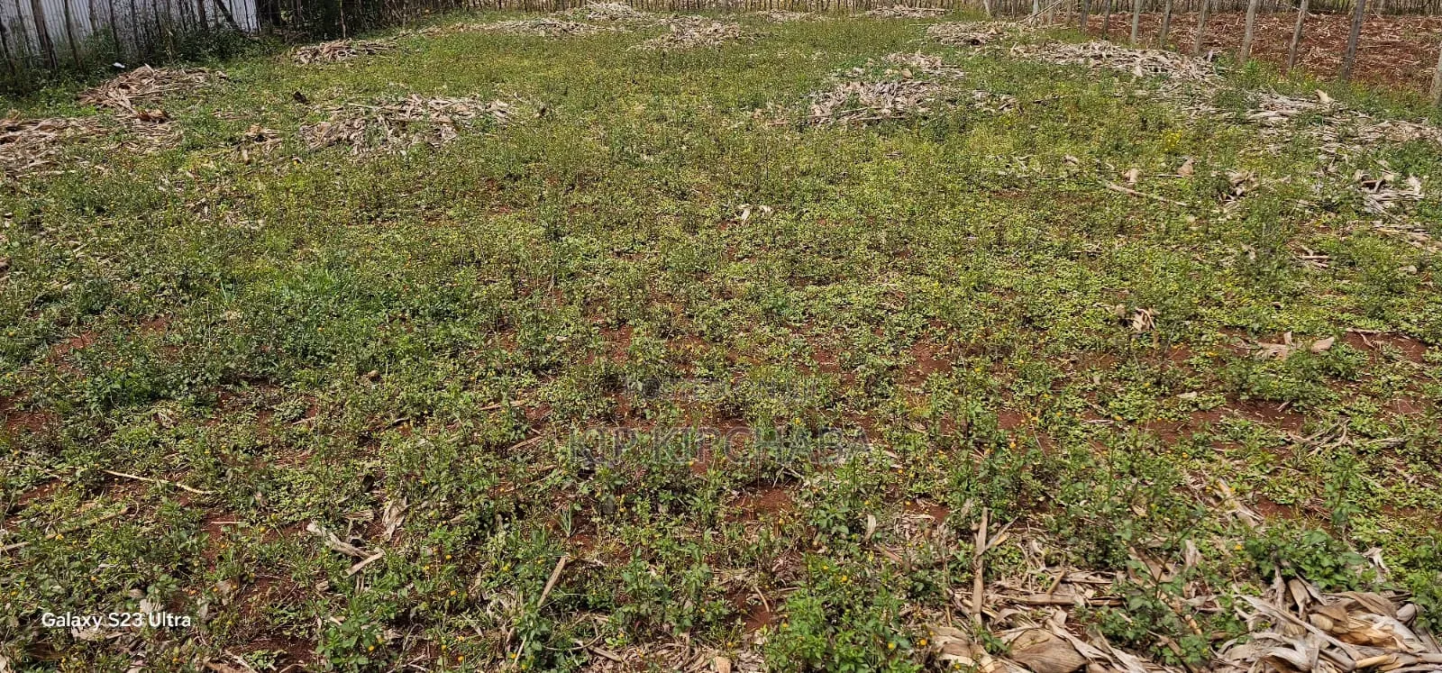 Prime Plot for Sale in Marura Chemaluk Eldoret in Kimumu
