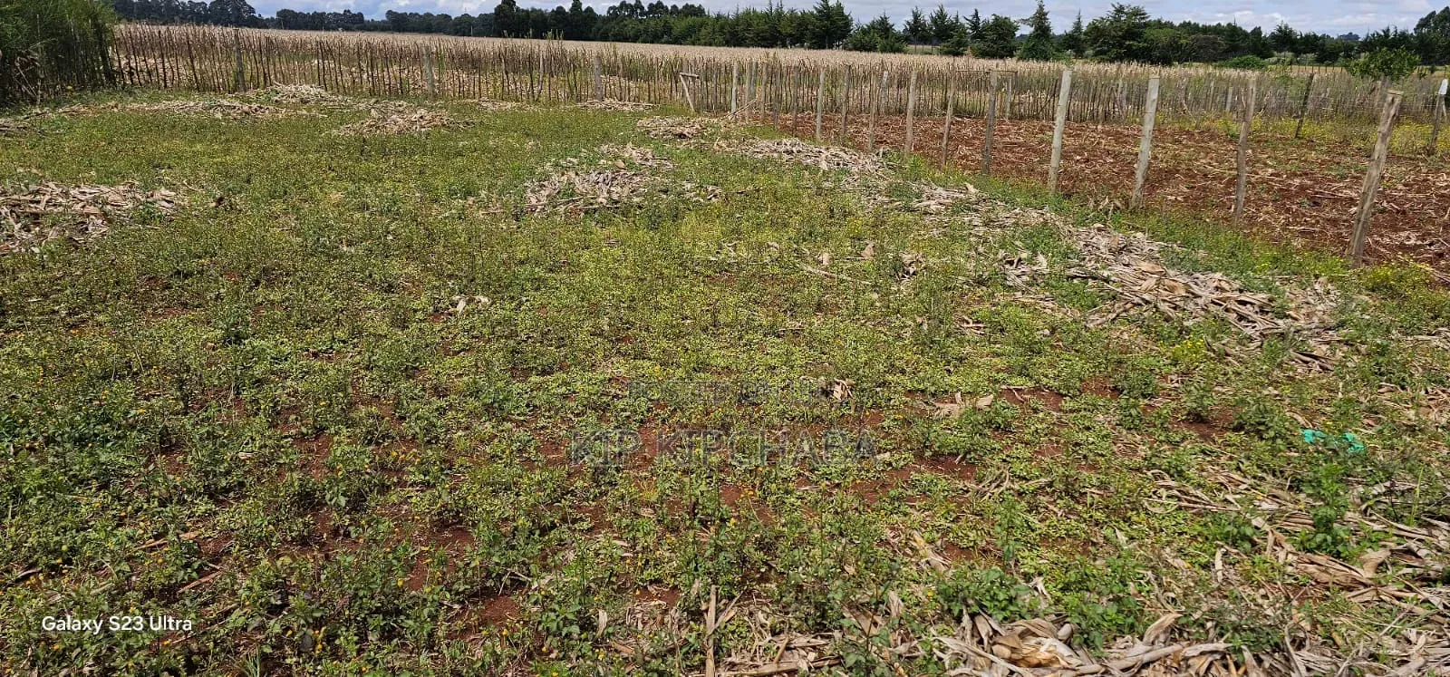Prime Plot for Sale in Marura Chemaluk Eldoret in Kimumu