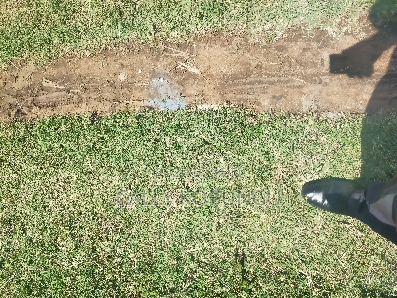Kapengura Cheptuya 0.08 in Kapenguria