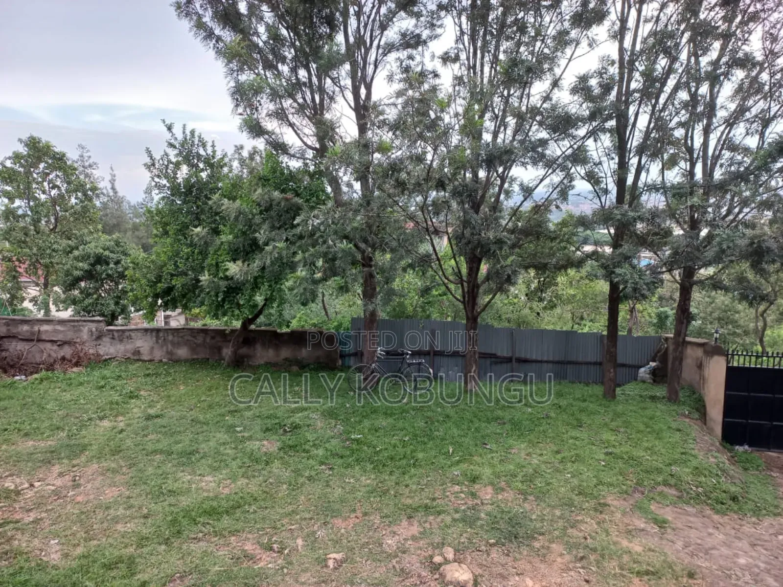 Kapengura Cheptuya 0.08 in Kapenguria