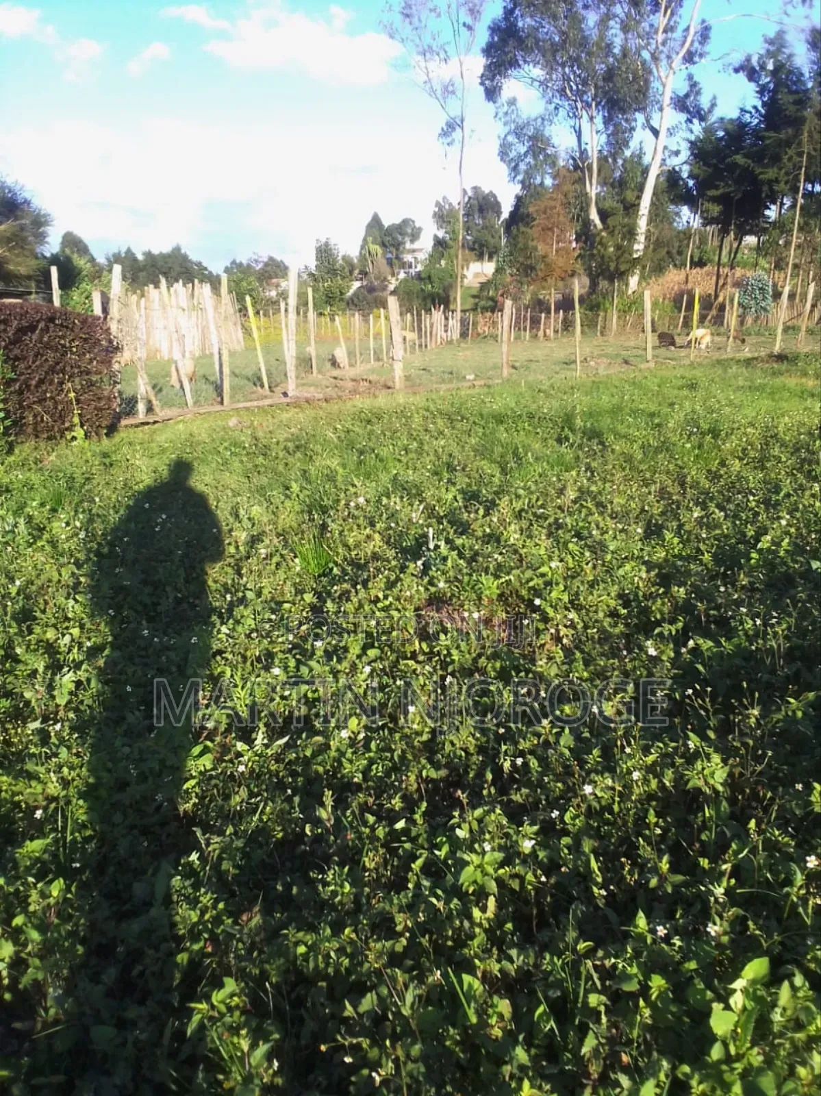 1 Acre Ngarariga in Bibirioni