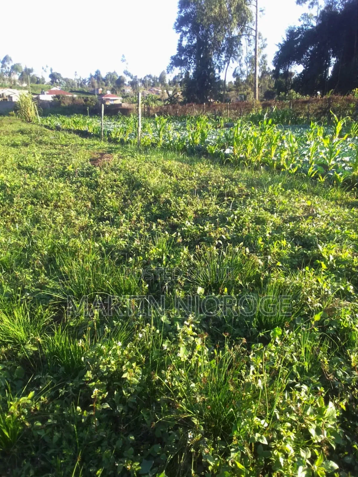 1 Acre Ngarariga in Bibirioni
