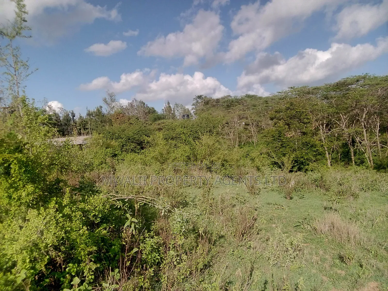 200 Acre Farm Land ,Kitui in Kanyangi