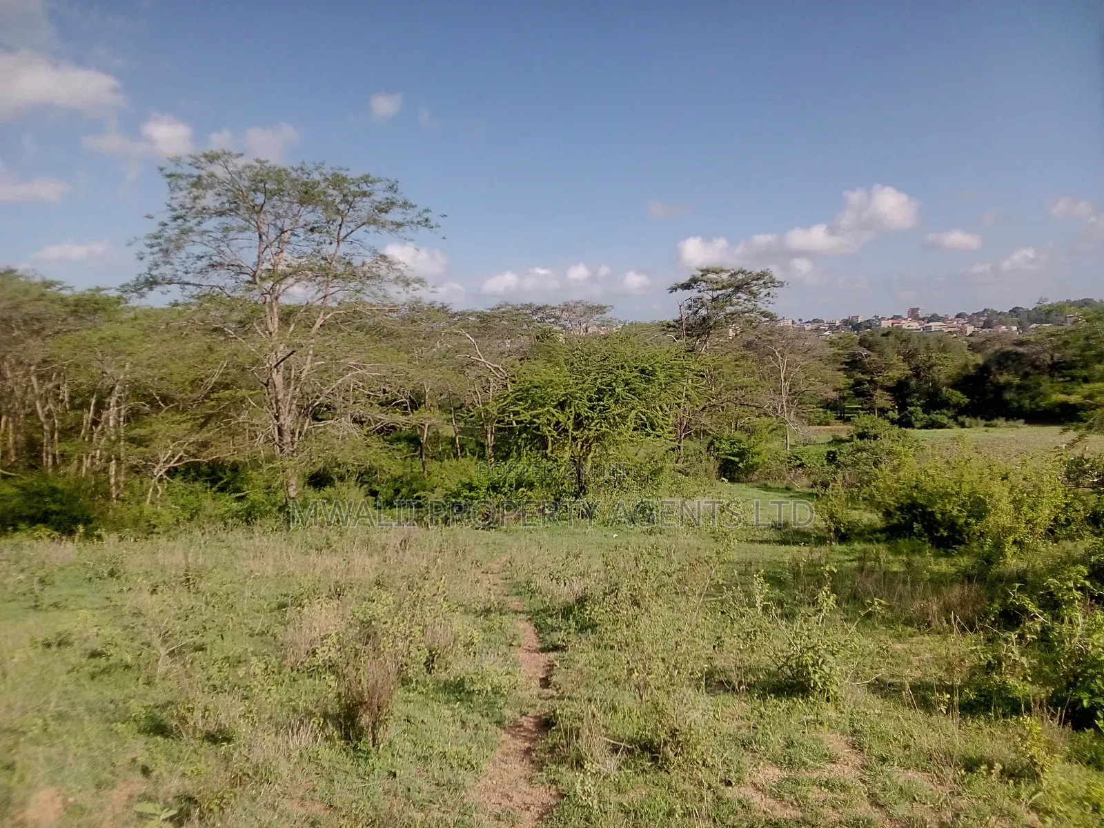 200 Acre Farm Land ,Kitui in Kanyangi