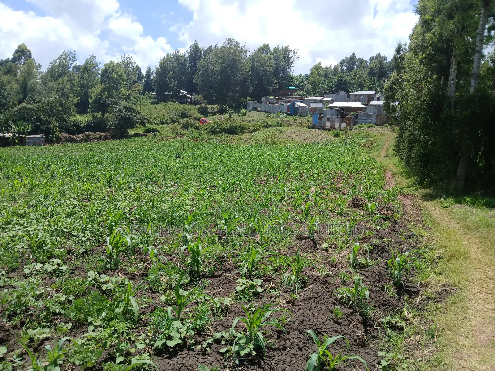 Deal 3.5 Acres for Sale Off Ngong-Kiserian Highway in Matasia
