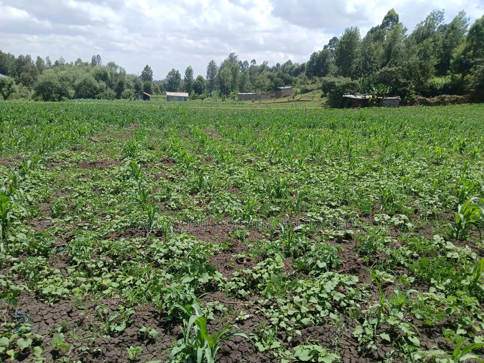 Deal 3.5 Acres for Sale Off Ngong-Kiserian Highway in Matasia