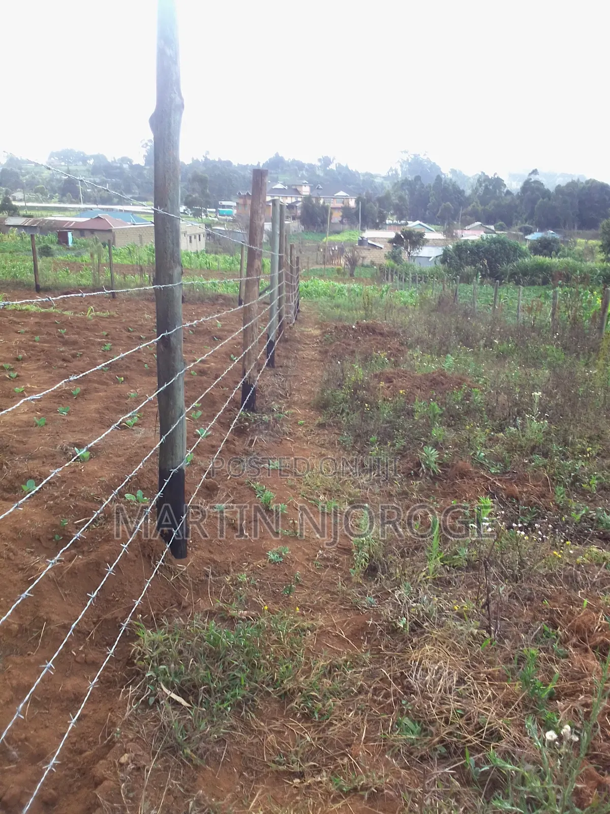 50 by 150 Acre Plot Nyambari in Lari/Kirenga