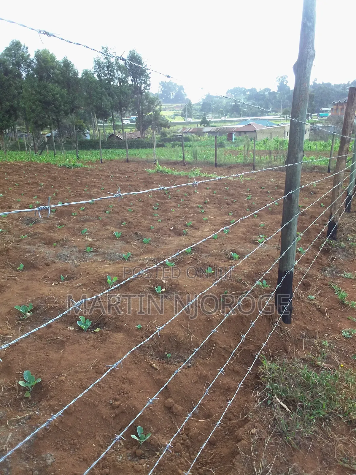 50 by 150 Acre Plot Nyambari in Lari/Kirenga