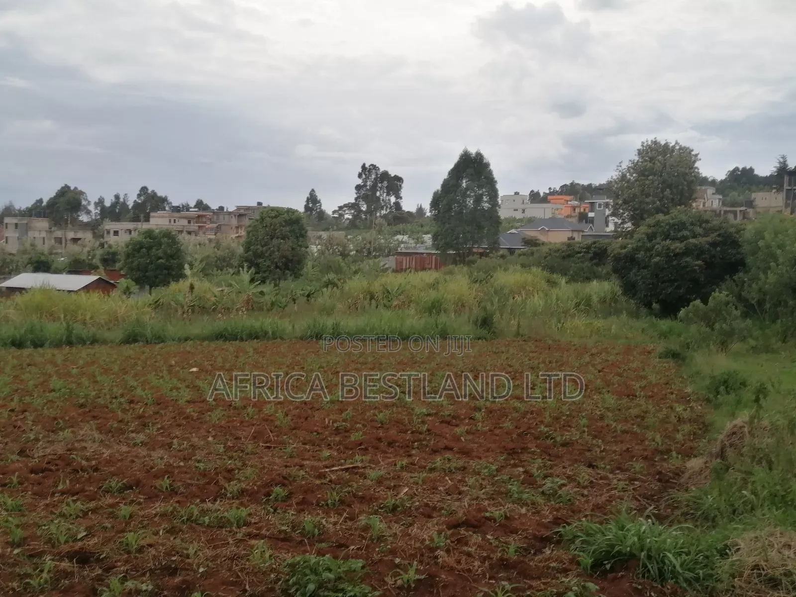 50x100 Plot for Sale in Kikuyu Gikambura in Kikuyu