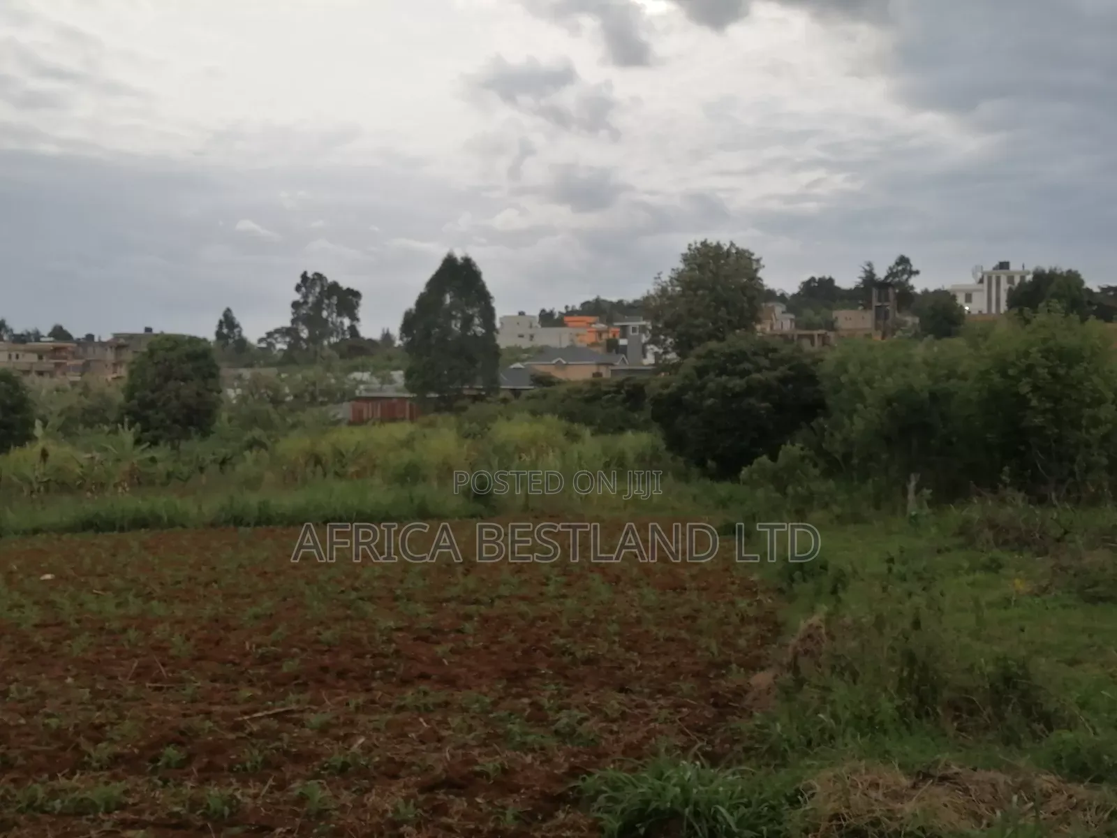 50x100 Plot for Sale in Kikuyu Gikambura in Kikuyu